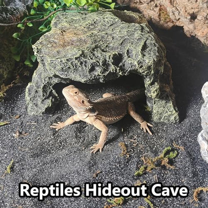 BNOSDM Reptile Hideout Rock,Tortoise Hide Cave,Resin Rock,Lizards Hideaway,Turtle Basking Platform,Reptiles Habitat Decor Tank Accessories for Bearded Dragon Gecko Snakes Chameleon Frogs