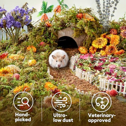BUCATSTATE 5L Hamster Bedding, Natural Forest Moss Odor Control | Nature Hamsters Substrate Cage Accessories for Dwarf Syrian Hamsters, Mice, Gerbils (Dried Moss)