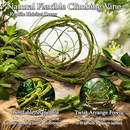 10 Pcs Terrarium Hanging Plant Vines Jungle Climbing Vines | Reptile Plants,Tank Accessories Decorationswith Suction Cups,Bearded Dragon Lizard Snake Geckos Chameleon
