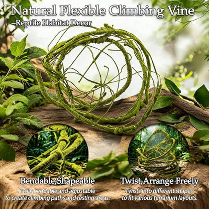 10 Pcs Terrarium Hanging Plant Vines Jungle Climbing Vines | Reptile Plants,Tank Accessories Decorationswith Suction Cups,Bearded Dragon Lizard Snake Geckos Chameleon