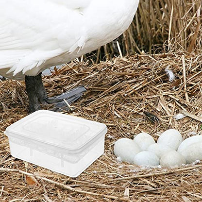 2Pcs Reptile Egg Incubator Tray with Lattice Design Lightweight and Portable Hatching Box for Lizards Snakes Tortoises Transparent Cover for Easy Observation