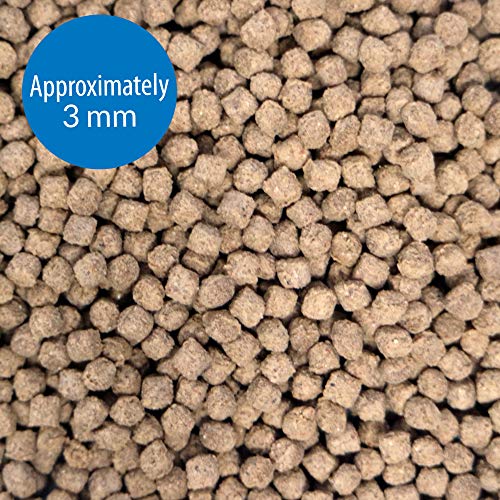 API BOTTOM FEEDER PELLETS WITH SQUID Fish Food 1.3-Ounce Container - size: 1.3 Ounce (Pack of 1), style: Bottom Feeders