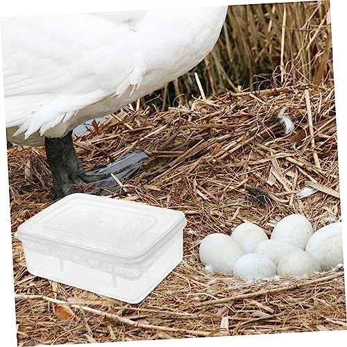 Plastic Reptile Egg Incubator 16 Grids Gecko Lizard Incubation Box Easy Observation Lightweight for Travel