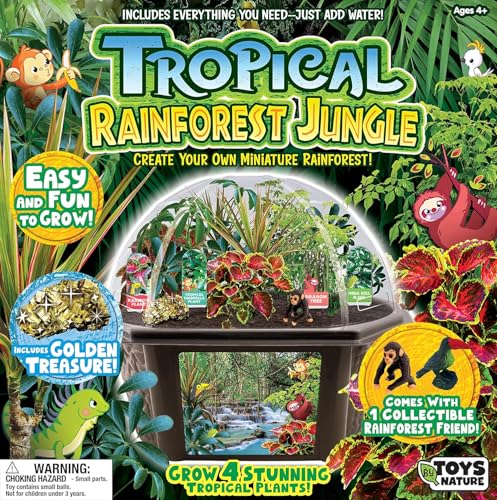 Toys by Biosphere Terrarium Starter Kit with Complete Supplies to Create Your Own Jungle! Indoor Plants for Home Displays and Gardens (Tropical Rainforest Jungle) - style: Tropical Rainforest Jungle