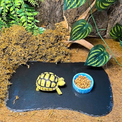 Reptile Basking Platform 13.5''x8.0'' Turtle Rock Slate Feeding Bowl Food Dish Feed Plate Tortoise Bathing Resting Slab for Lizard Gecko Bearded Dragon Chameleon Snake Frog - size: 13.5''x8.0''(1PCS)