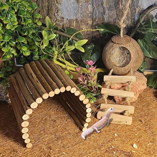 kathson 9PCS Leopard Gecko Tank Accessories,Reptile Hanging Plants and Vines Coconut Shell Hut with Ladder Habitat Decor for Climbing Bearded Dragon Lizard Snake Hermit Crab Chameleon - size: 9PCS