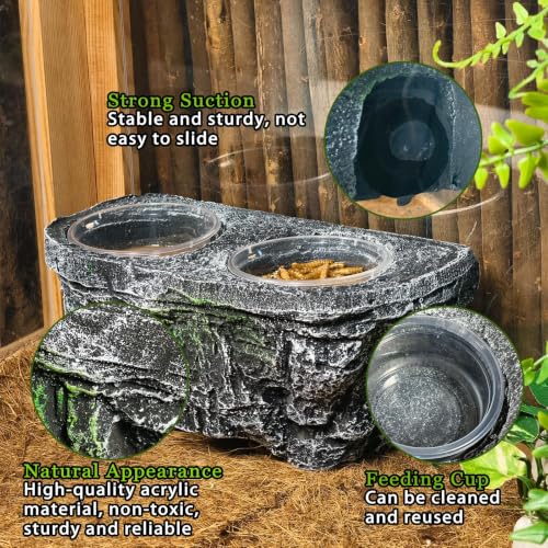 Tfwadmx Magnetic Reptile Feeder Ledge, Gecko Feeder Ledge with 6 Cups Reptile Feeding Bowls Food Dish Water Bowl Tank Accessories for Lizards Chameleons Frog(Grey) - color: Grey