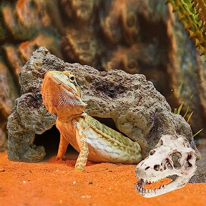 Anxingo Reptile Rock Reptile Cave Hideout for Snakes/Geckos/Lizards/Turtles and Other Amphibians, with Dinosaur Skull (Small) - size: S
