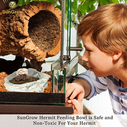SunGrow Small Hermit Crab Feeding Bowl, for Turtle, Leopard & Crested Gecko, Ball Python, Durable, Multifunctional Decor, Serve as Climbing Toy or Drinking Bowl