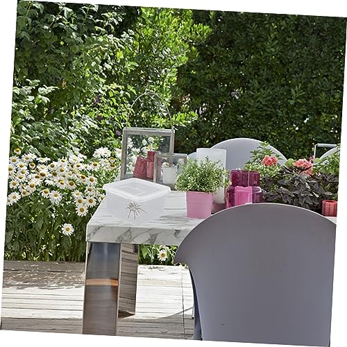 Angoily 2pcs Box Mini Reptile Container Insect Container Spider Box for Feeding Breathing - color: Transparentx2pcs, size: 12X12X7CMx2pcs