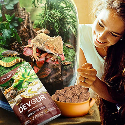 Gargeer 8oz Bugs & Insects Gel. for Roaches, Crickets & Worms, Made in USA | Expert-crafted, filler-free gourmet nutrition for thriving insects. Because a healthier bug means a healthier pet! - size: 8 Ounce (Pack of 1)