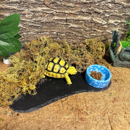 Tfwadmx Reptile Basking Platform,11''x5.5'' Tortoise Rock Plate Feeding Food Bowl Dish Feeding Slate Turtle Bathing Resting Platform for Lizard Gecko Bearded Dragon Chameleon Snake Frog - size: 11''x5.5''(1PCS)