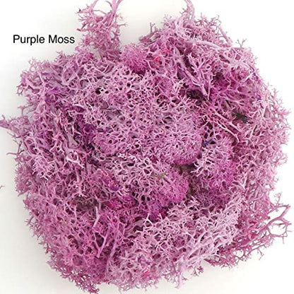 9oz Preserved Natural Moss for Potted Plants, Terrariums & Wedding Decor | Natural Pine Leaves Needles, Real Greenery Cedar Stems, Xmas Garland, Wedding Home Decor, Indoor Outdoor, Picks, Dried Plants