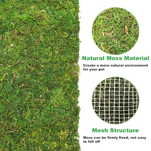 kathson Reptile Carpet, Natural Moss Mat for Terrarium, Bearded Dragon Tank Flooring Green Substrate Liner for Leopard Gecko Hermit Crab Lizard Tortoise (47.24" X 11.81")