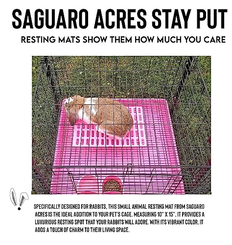 Saguaro Acres Rabbit and Small Animal Cage Resting Mat for Wire Floored Cages 2 Pack (Pink) - color: Pink