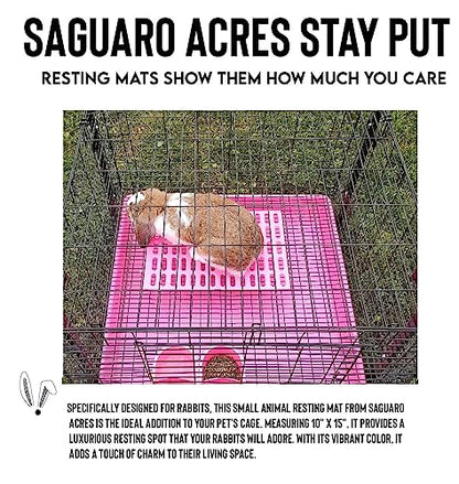 Saguaro Acres Rabbit and Small Animal Cage Resting Mat for Wire Floored Cages 2 Pack (Pink) - color: Pink