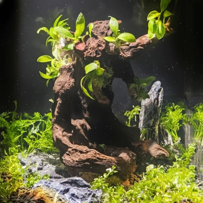emours Aquarium Driftwood Fish Tank Decoration, Natural Wood, Large | 9-12 Inch Length - size: Large