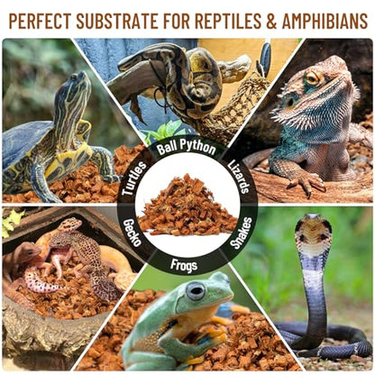 Riare 10LB Coconut Husk Chip for Reptiles, 72 Quart Coconut Fiber Substrate | Coco Chips Substrate Coconut Husk Bedding for Snakes, Tortoises, Ball Python, Bearded Dragon, Geckos, Lizards, Frogs - color: 1 Pack-10LB