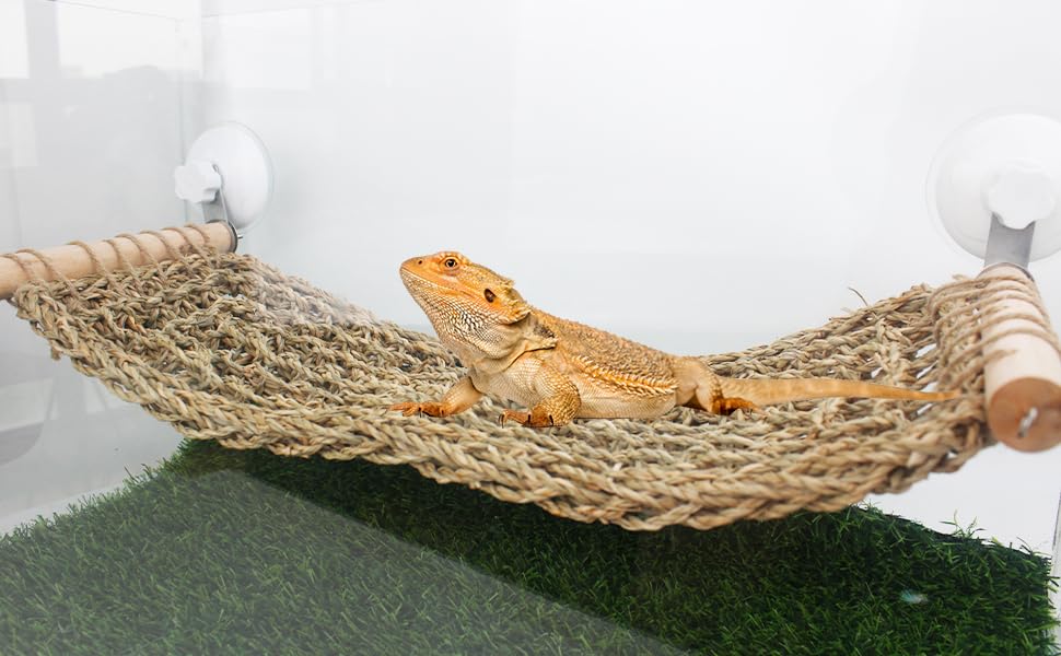 FlidRunest 21.6 x 7.8 in Seagrass Bearded Dragon Hammock for Window, Large Lizard Window Perch, Reptile Hammock Perch with Powerful Suction Cups for Lizard, Leopard Gecko, Chameleon