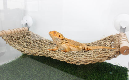 FlidRunest 21.6 x 7.8 in Seagrass Bearded Dragon Hammock for Window, Large Lizard Window Perch, Reptile Hammock Perch with Powerful Suction Cups for Lizard, Leopard Gecko, Chameleon