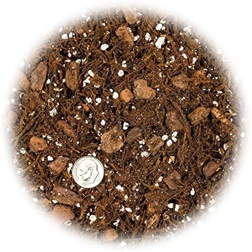 Premium Gardenera House Plant Potting Mix | Fern + New Zealand Bark + Perlite | Great for Pothos, Spider Plants, Montsera, Philodendron, English Ivy - 1 Quart Bag - color: HOUSE PLANT POTTING MIX, size: 1 Quart