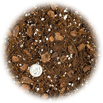 Premium Gardenera House Plant Potting Mix | Fern + New Zealand Bark + Perlite | Great for Pothos, Spider Plants, Montsera, Philodendron, English Ivy - 2 Quart Bag - color: HOUSE PLANT POTTING MIX, size: 2 Quart