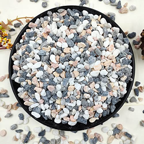 2LB Succulent and Cactus Gravel Pebbles, 1/5 Inch Mixed Color | Natural Decorative Polished Stones River Rocks for Vases, Aquariums, Terrarium and Outdoor Gardening - color: Mixed, size: 2 Pounds