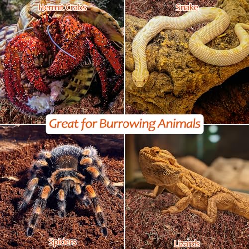 Riare 2 Pack Natural Coconut Fiber Substrate for Reptile- Premium Compressed Coconut Husk Terrarium Bedding for Reptile, Tortoise, Frogs, Snakes Hermit Crabs, Burrowing Animals - color: 2 Pack