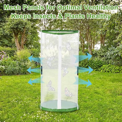 M METERXITY Butterfly Habitat Cage Terrarium, Outdoor Collapsible Mesh Pop-up with Zipper Protection for Breeding Butterfly/Ladybug, Mesh Plant Enclosure [White with Green, 12 x 12 x 24 Inch] - size: 12 x 12 x 24 Inch