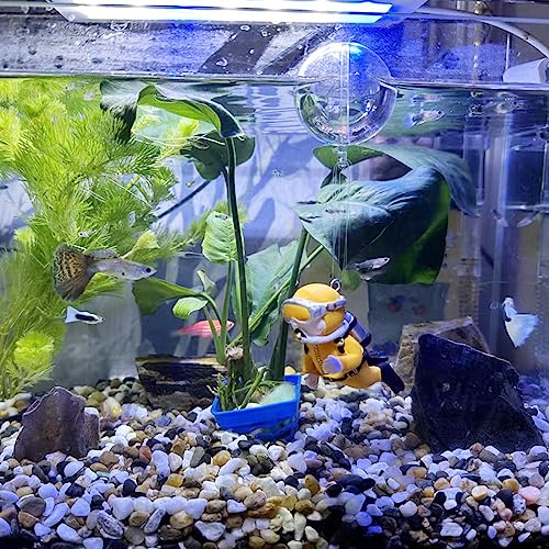 2lbs Natural River Rocks for Plants, 3/8" Aquarium Gravel | Decorative Polished Mixed Pebbles for Fish Tank, Gardening, Flower Pots, Vase Fillers, Indoor Water Fountains, Landscaping - size: 3/8 Inch