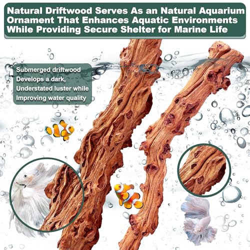 Natural Wood Driftwood for Aquarium Fish Tank Decor,Assorted Driftwood Trunk Branch for Reptile Tank Decor (SLM-Trunk M (13 to15 Inch)-Pack of 2) - color: SLM-Trunk M (13 to15 Inch)-Pack of 2