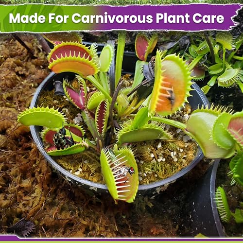 Carnivorous Plant Soil Mix, 3in1 Pre-Mixed & Ready to Use, 1.5 QT | Forest Moss, Peat Moss & Perlite, Balanced Moisture, Drainage & Airflow for Venus Flytrap, Pitcher Plant, Sundew & Butterwort - size: 1.5 QT