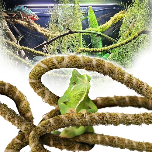 6.5FT Reptile Vines for Climbing, Bendable Branch for Reptile | Natural Moss Color, Moss Rope Jungle Decor for Bearded Dragon, Chameleon Tank Accessories, Snake, Gecko & Lizard Terrarium - color: Green Reptile Vine - 6.5 Feet