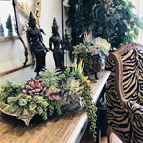 caqpo Premium Artificial Succulents - Mini Fake Succulent Plants & Faux Cactus - 15 Pack - size: 2" - 7" in Diameter and 4" - 14" in Lenght