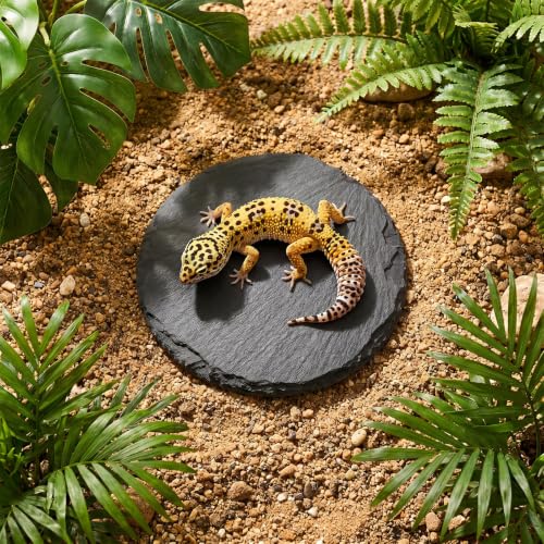 Turtle Basking Platform, 3.9 X 3.9 Inch Reptile Basking Platform | Tortoise Rock Plate Reptile Food Dish Landscape Habitat Decor for Gecko Lizard Bearded Dragon Turtle