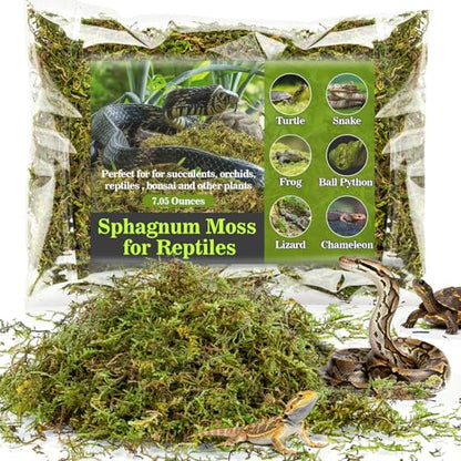 RAINFLOW Sphagnum Moss for Reptiles - 7 Oz Reptile Moss Peat Terrarium Moss Bedding Reptiles Lizard Substrate for Reptile Tank, Snake, Leopard Gecko, Ball Python, Crested Gecko, Turtle, Frog, Hamster