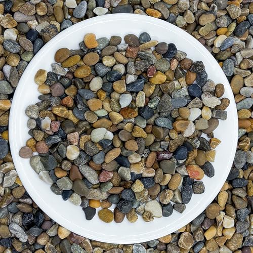 5LB Natural Aquarium Gravel, Small River Rocks for Fish Tank, Garden & Vase Decor - 1/4 Inch Pea Gravel, 4-8mm Polished Stones for Landscaping, Potted Plants, Terrarium - color: 5lb, size: 4-8mm