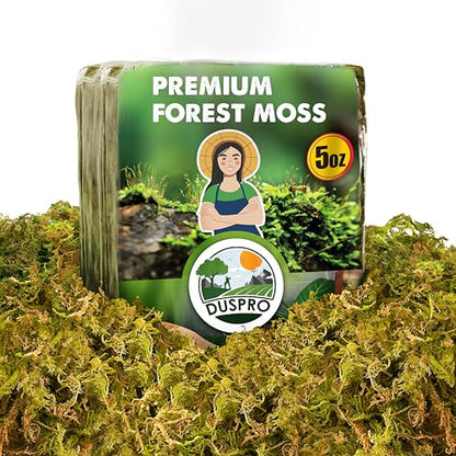 5 Oz Real Dried Forest Moss for Potted Plants, Plant Propagation | Hand-Picked & Clean, Easy to Rehydrate, Balanced Moisture, Forest Orchid Moss for Potting Mix,Moss Soil Cover for Houseplants - size: 5 Oz