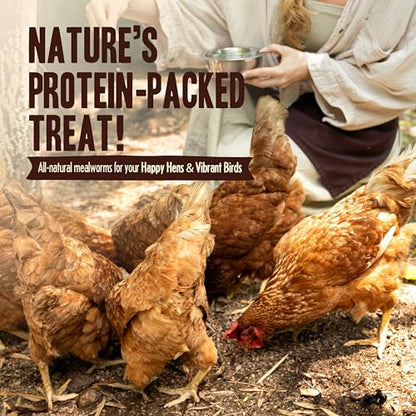Pet Faves Dried Mealworms for Chickens, Birds, Hamster, Reptile and Turtle - Premium Non-GMO Treats with 55% Protein for Laying Hens - Organic Food for Wild Bird, Bluebirds, Robins, Cardinals. 5 Lb - size: 5 Pound (Pack of 1)