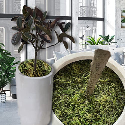 10.2 OZ Fake Moss for Potted Plants & Fake Plants - Artificial Faux Moss for Planters & Craft