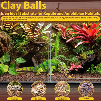 4 LB Organic Expanded Clay Balls Terrarium Substrate for Reptiles | Drainage & Humidity Control, Reusable Leca Balls for Bioactive Setups, Reptile Enclosures, Hydroponics, Aquaponics & Plants - color: 4LBS