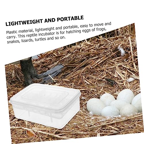 Plastic Reptile Egg Incubator 16 Grids Gecko Lizard Incubation Box Easy Observation Lightweight for Travel