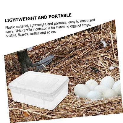 Plastic Reptile Egg Incubator 16 Grids Gecko Lizard Incubation Box Easy Observation Lightweight for Travel