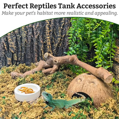 VCEPJH Snake Climbing Branch, 2Pcs Reptile Wood Natural Cork Log Tank Accessories Tree Trunk for Chameleon Bearded Dragon Gecko Snake Frog Spider - size: Grape Wood (L:13.7"-15.7"-2pcs)