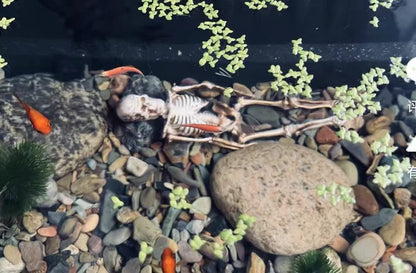 Aquarium Decor Fish Tank Decoration Ornament - Trendy Landscaping and Skull-Themed Resin Ornaments for Climbing Pets, Cannibal Fish, and Bottom-Dwelling Imitation Skeleton Bones.