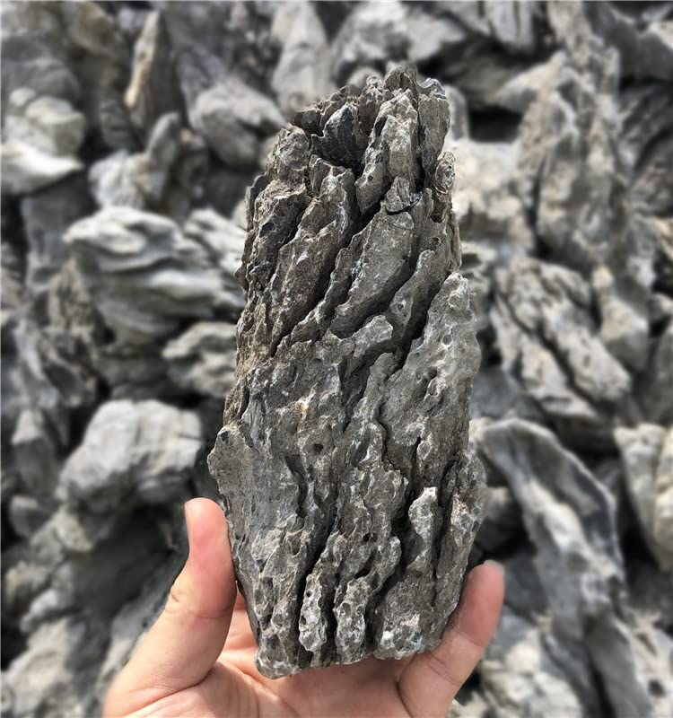 KINGRUI Natural Aquarium Rocks Seiryu Rock Stone 20lb Dragon Stone for Aquarium Landscaping Models Fish Tank Decoration Reptile and Amphibian enclosures 3 to 7 inch - size: 20lb(3-7inch)