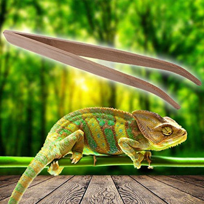 11in Feeding Tweezers Bamboo Long Curved Tweezers Curved Forceps for Reptiles