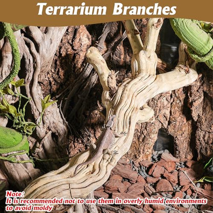 VCEPJH Large Snake Climbing Branch Decor 15.5 in Natural Reptile Wood Cork Log Bearded Dragon Tank Accessories Tree Trunk for Chameleon Gecko Ball Python Frog - size: Panlong Wood (XL:15"-17.7"-1pcs)