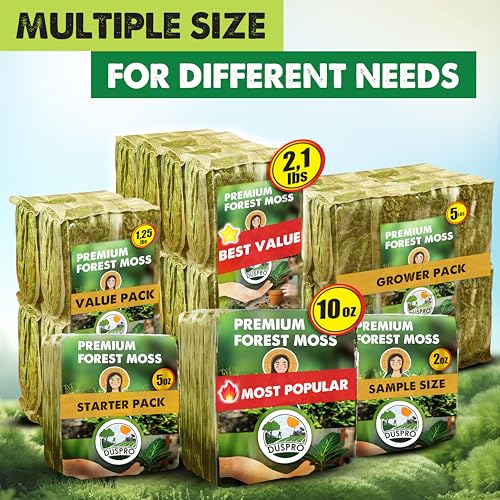 2.1 LBS Real Dried Forest Moss for Potted Plants, Plant Propagation | Hand-Picked & Clean, Easy to Rehydrate, Balanced Moisture, Forest Orchid Moss for Potting Mix,Moss Soil Cover for Houseplants - size: 2.1 Lbs