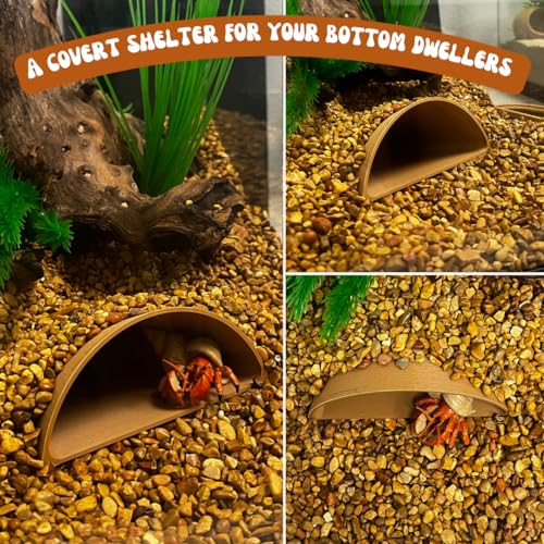 REEFSHAPE Aquarium or Terrarium Pocket Cave | Minimalist Shelter Cave for Fish, Shrimp, Reptiles, Amphibians, & More! | Made in USA (Pocket Cave, Tan) - style: Pocket Cave, Tan